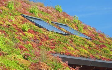 Flamstead End living roof systems